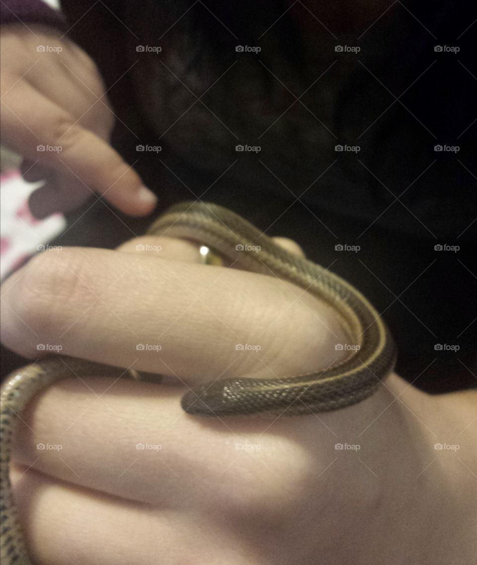 little garden snake friend