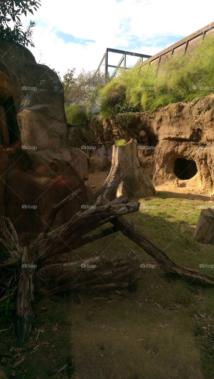 No Person, Landscape, Travel, Tree, Outdoors