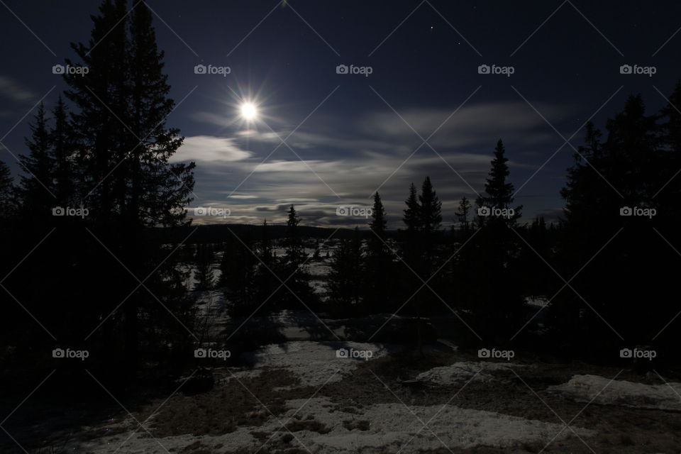 Winter moonlight