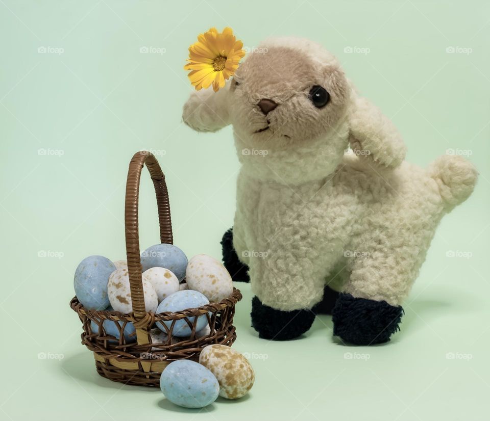 Basket full of chocolate eggs, with a soft toy lamb against a green background 