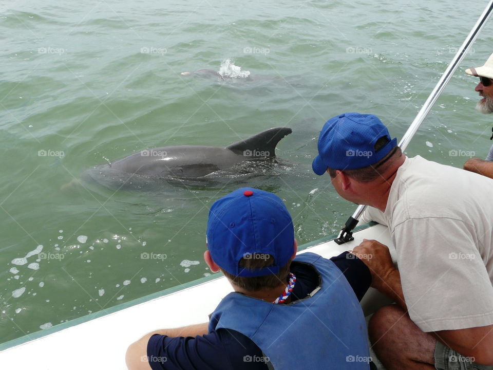 Father and son up close with a dolphin. Father and son up close with a dolphin
