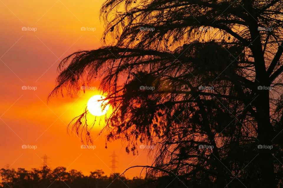 The perfect end to any day is an Australian sunset!