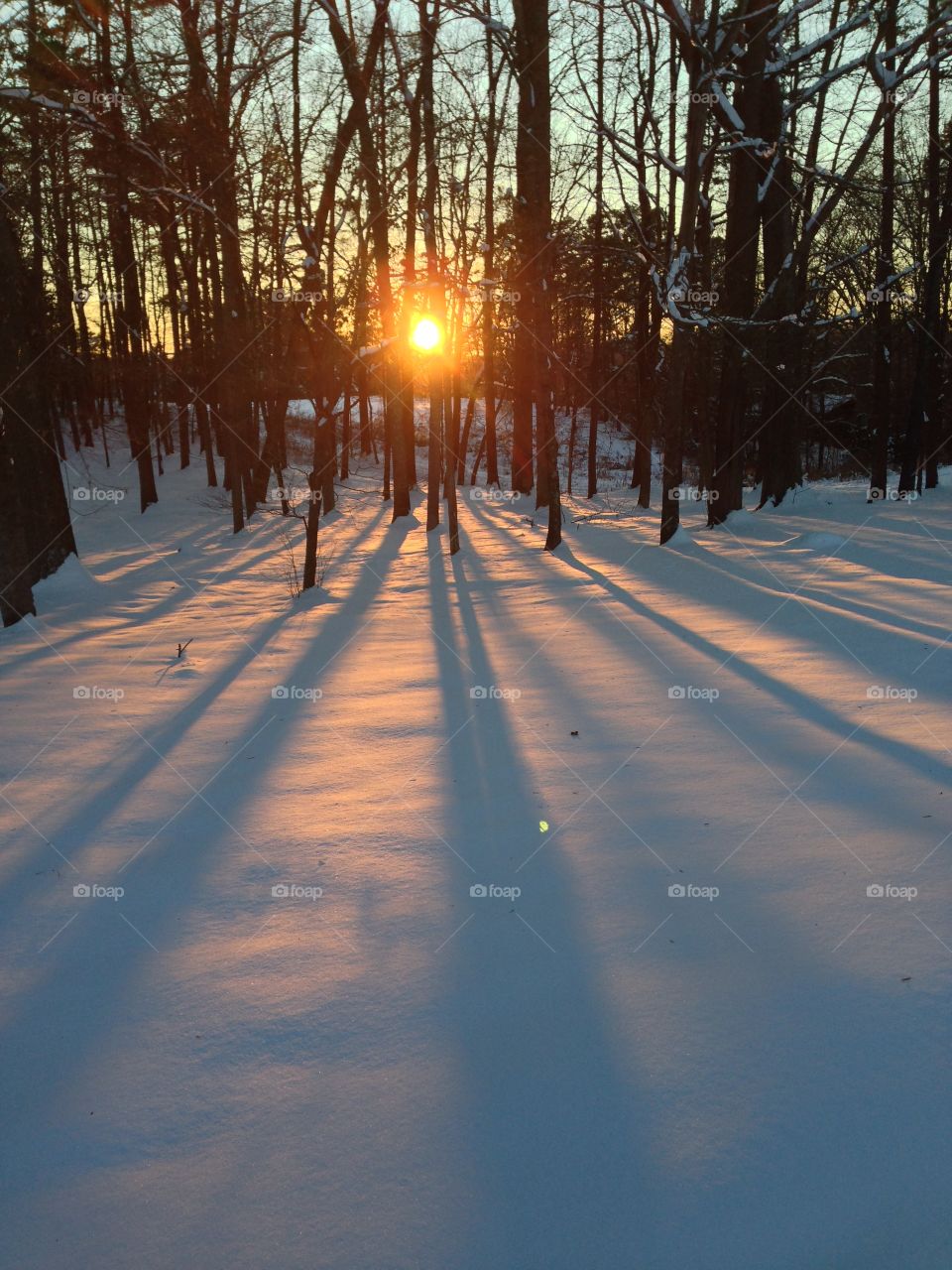 The sun peaking thru just before sunset on the snow