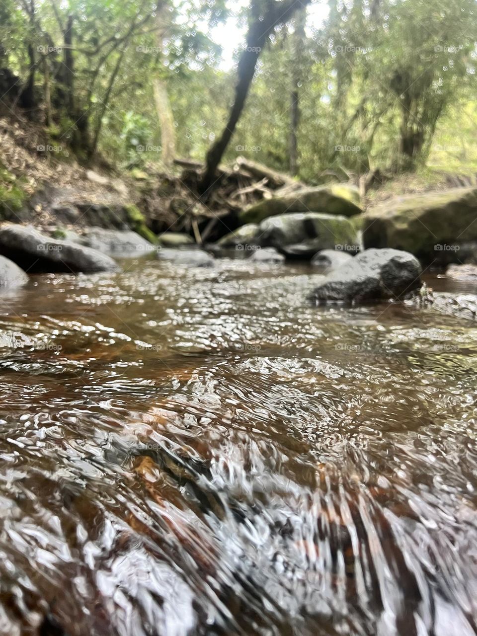 Pure water ravine 