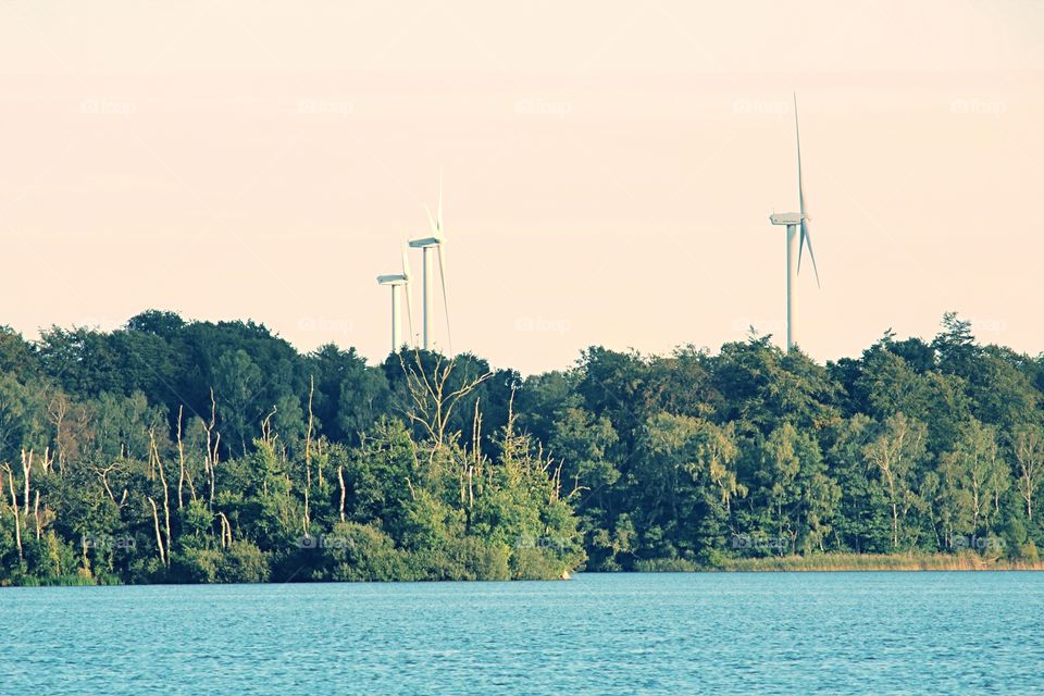 View from barbecue place