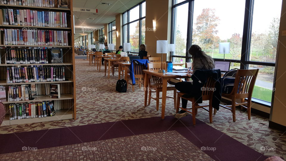 Studying at Library