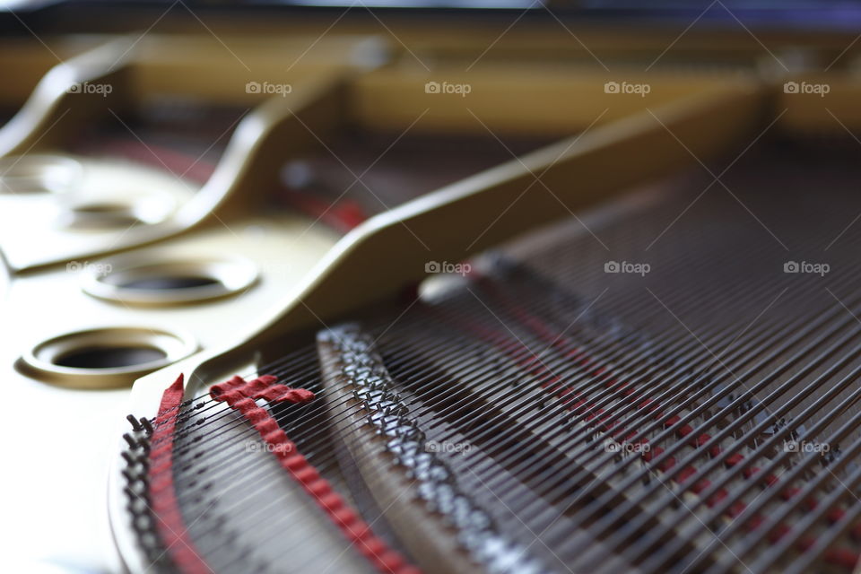 details shot of inside a grand piano showing selective focus on the cords
