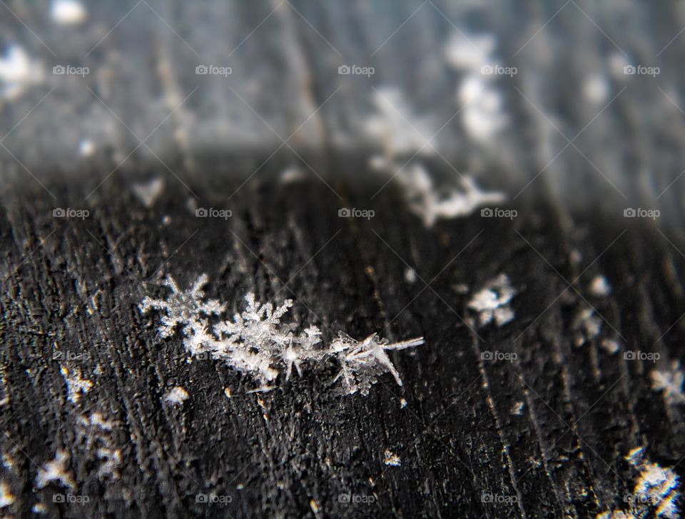 Each snowflake is so unique in intricate design  