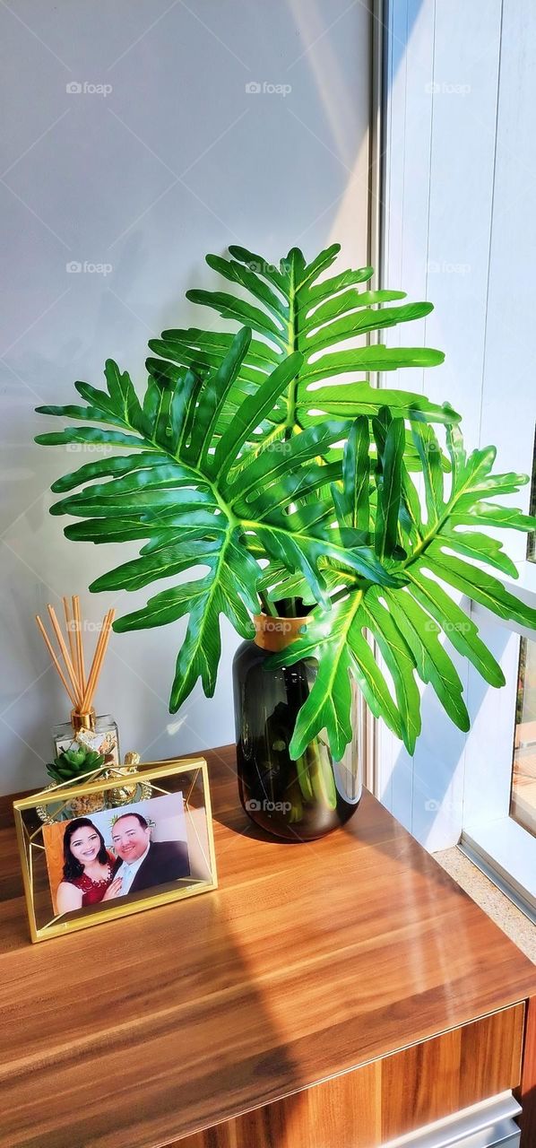 textile peony boho elegant branch season classic collection element colorful luxury paint beautiful tropical frame artistic wild holiday greenery exotic botany foliage romantic beauty petal rose decor flora natural ornament flower floral summer sprin