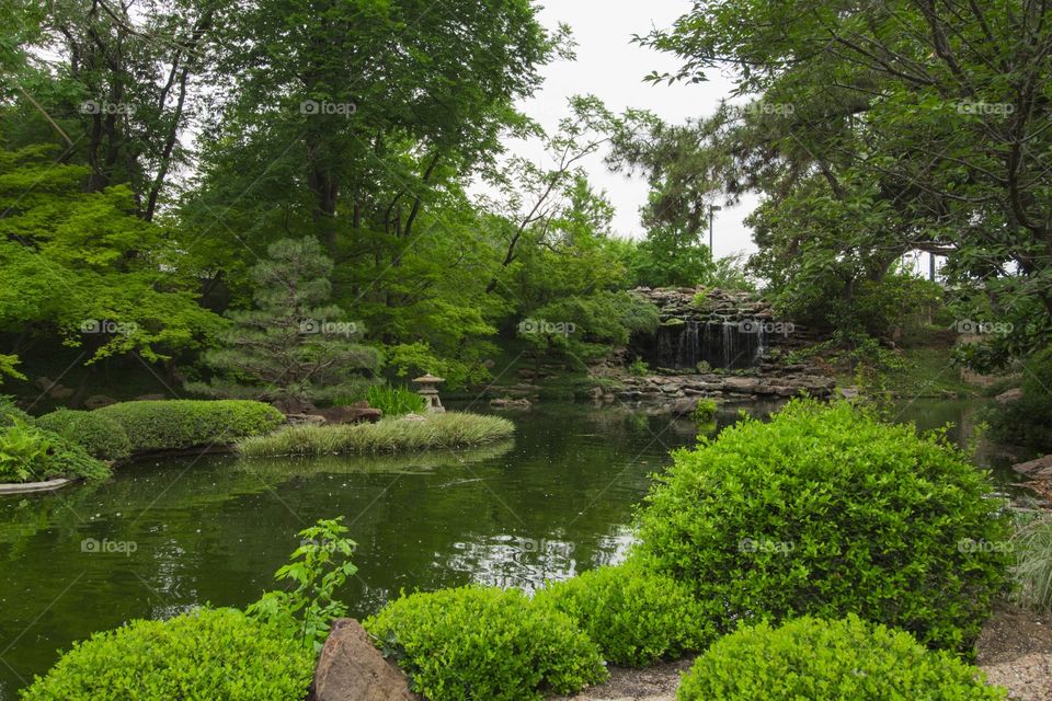 Fort Worth Japanese garden 