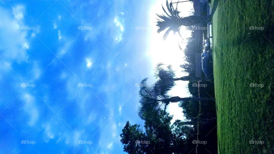 Cloudy blue skies with palm trees