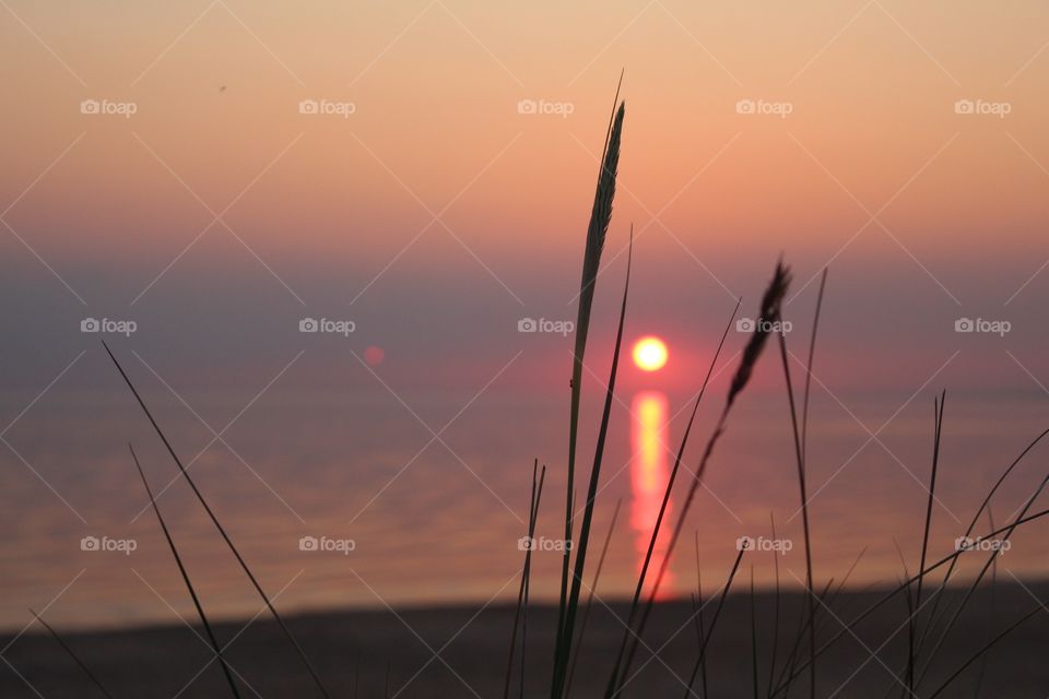 Beach in Sweden 