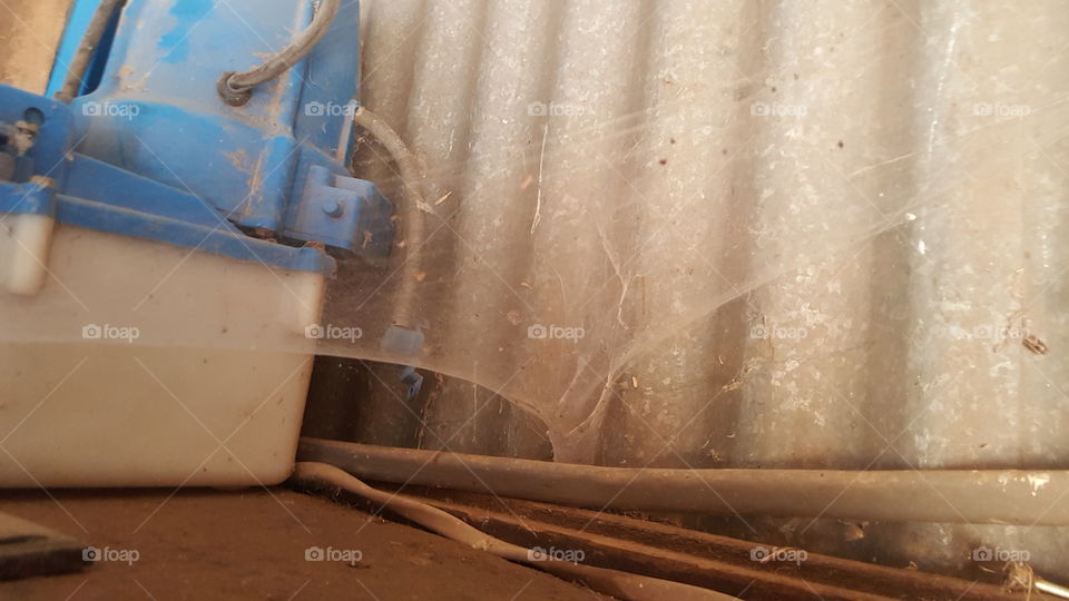 a tornado spider web