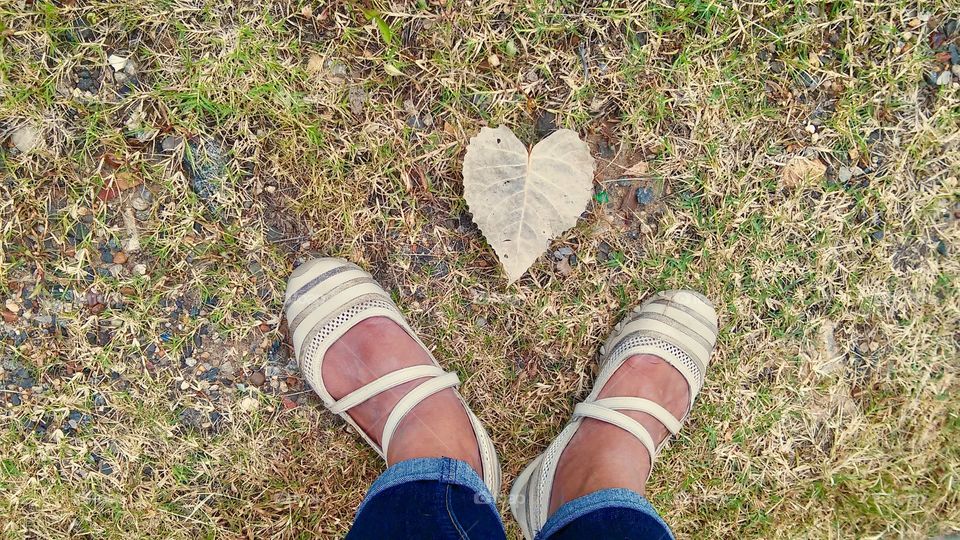 Heart shaped leaf at my feet 