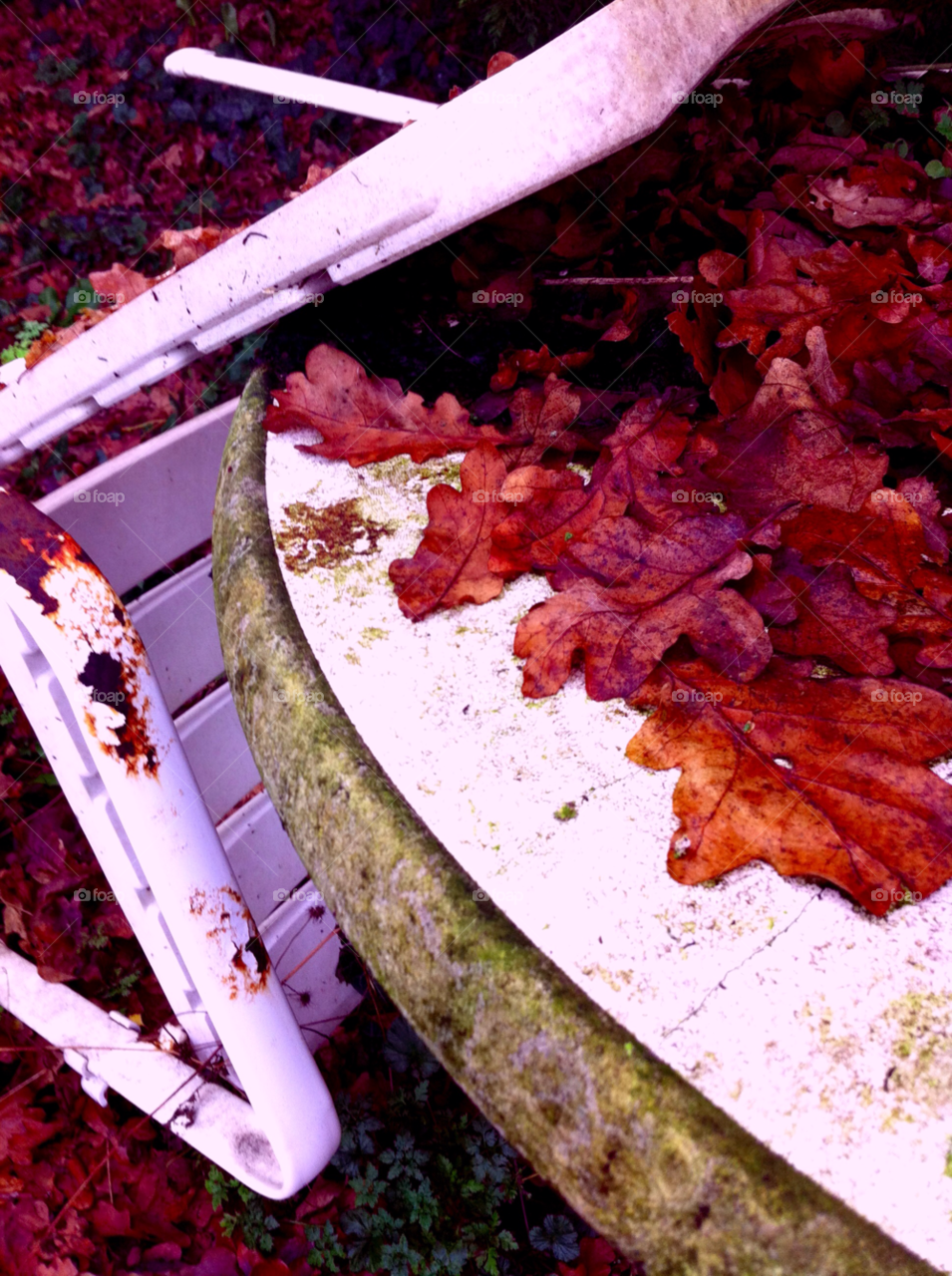 garden table chair leaves by judgefunkymunky