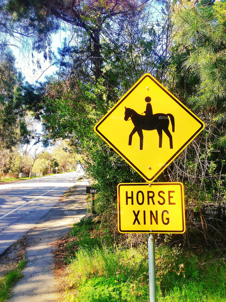 Horse crossing sign on a rural road