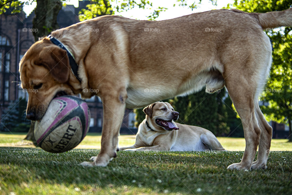 Tired after playing rugby