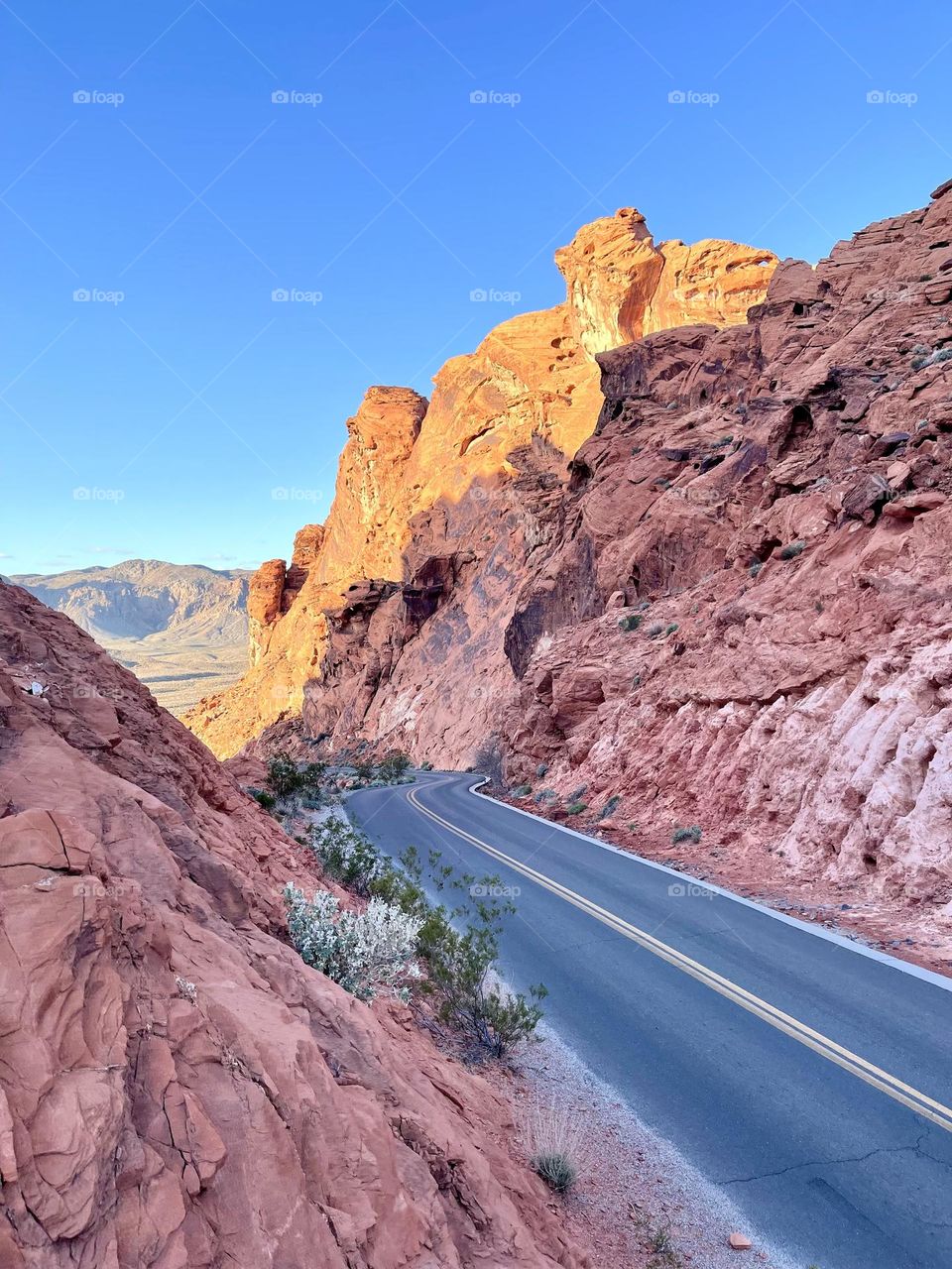 Valley of Fire Roadway