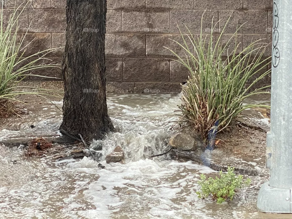 Flooding 