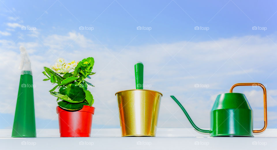 Kalanchoe in a pot, a spray bottle, a watering can and a bucket with a shovel against a clear sky. Caring for a home plant on a windowsill, replanting a house flower in a pot