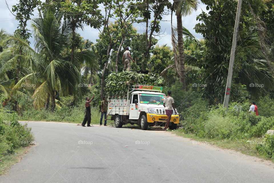 Road, Vehicle, Transportation System, Tree, Travel