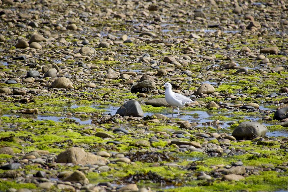 view of the beach in brittany