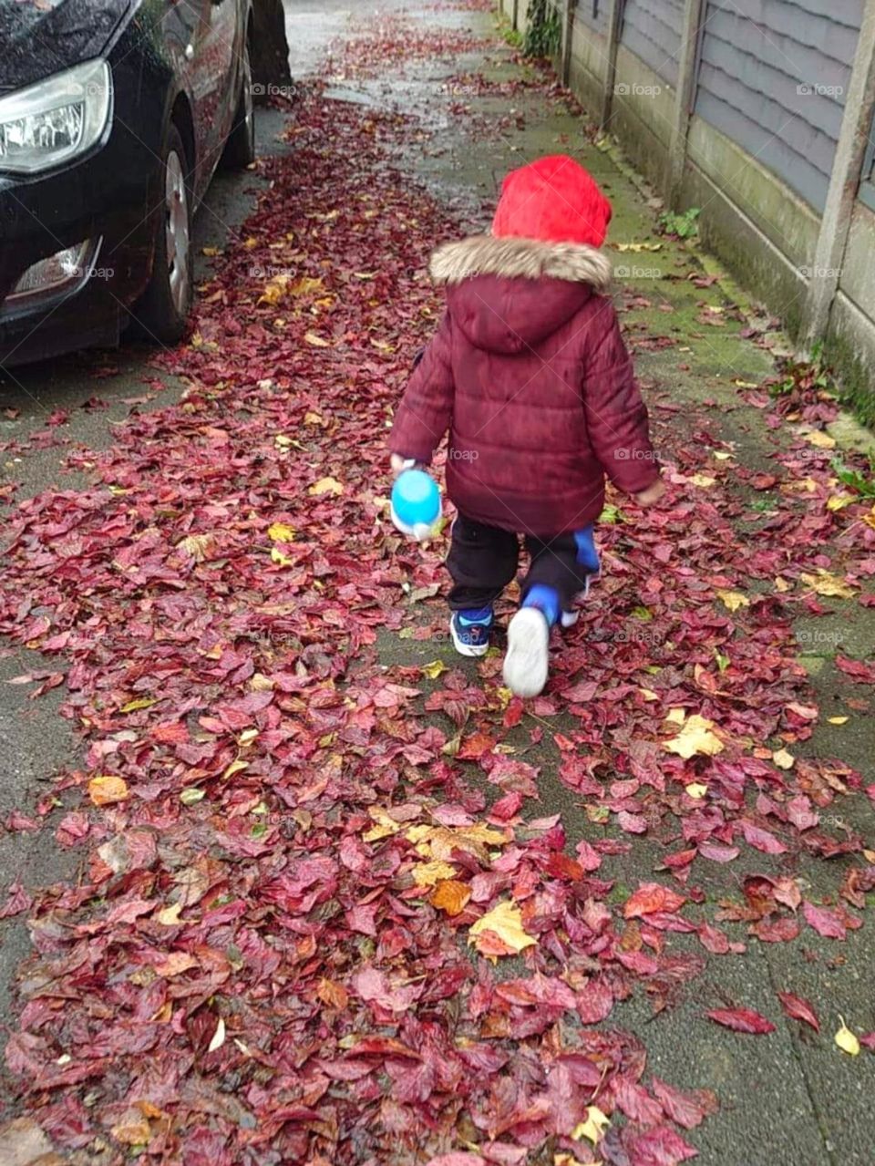 this seasonal color is a feast for the eyes