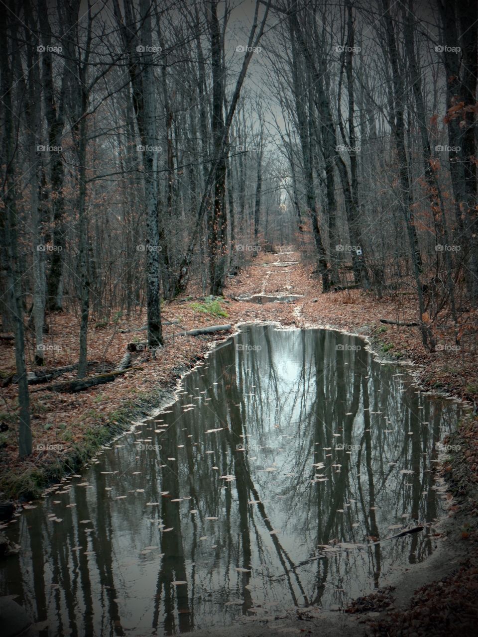 Drummond Island, Michigan 