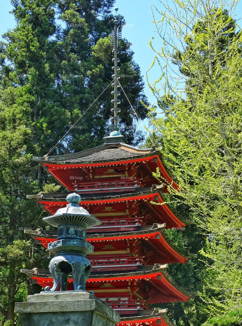 Japanese Architecture. Beautiful Japanese Pagoda In Greenery Of A Tranquil Tea Garden
