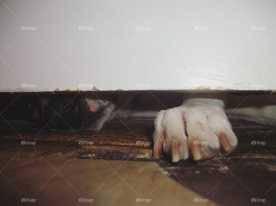 Peek a boo I see you! 