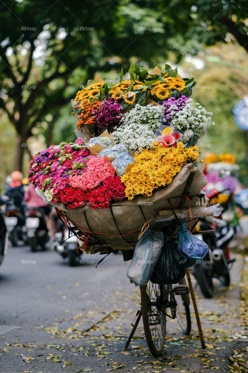 The prettiest flower