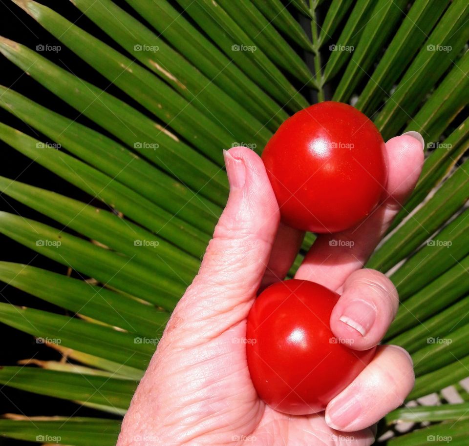 No Person, Leaf, Garden, Flora, Food