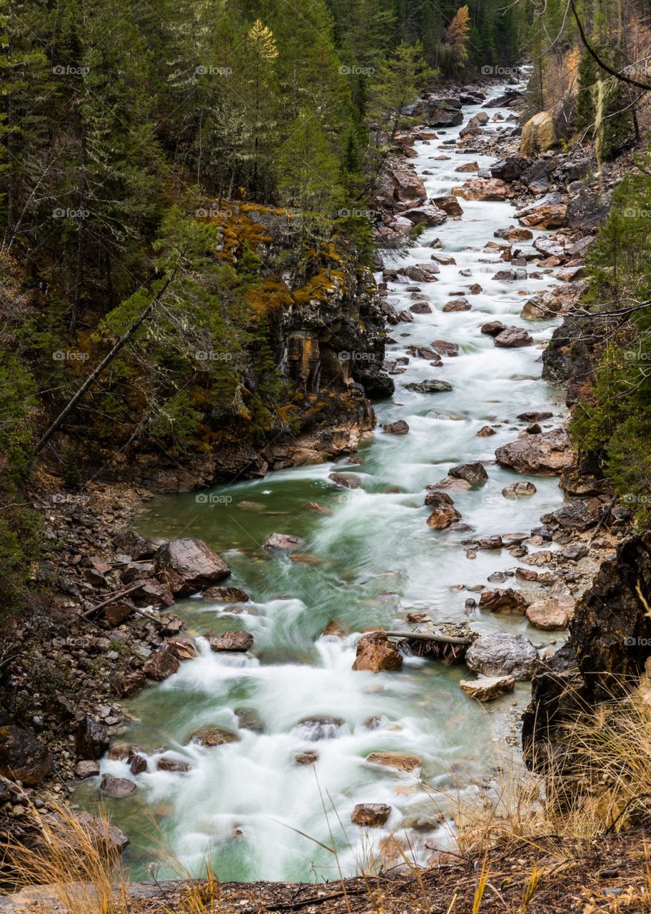 Looking down at a Green creek with rapids, flowing past rocks and boulders.