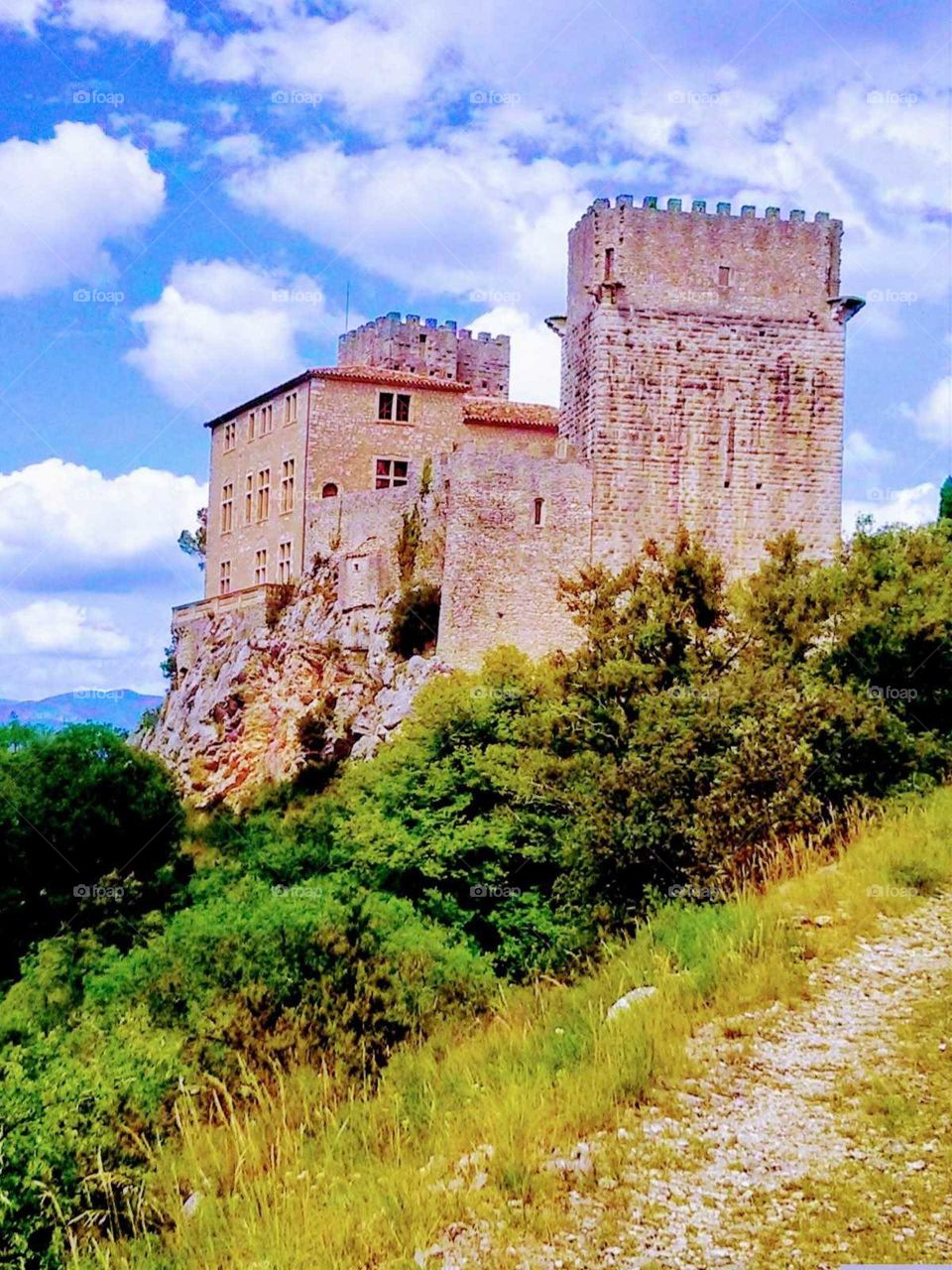 a french castle on a hill