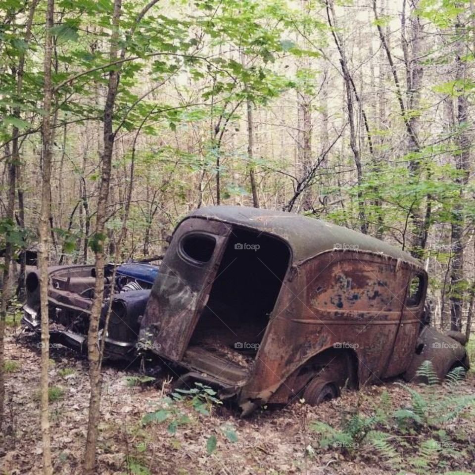 History in the woods of Ontario