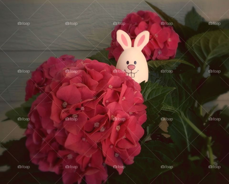 Easter bunny egg hiding in a pink hydrangea