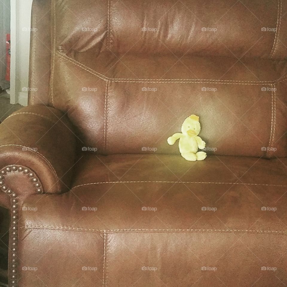Duck on a Sofa