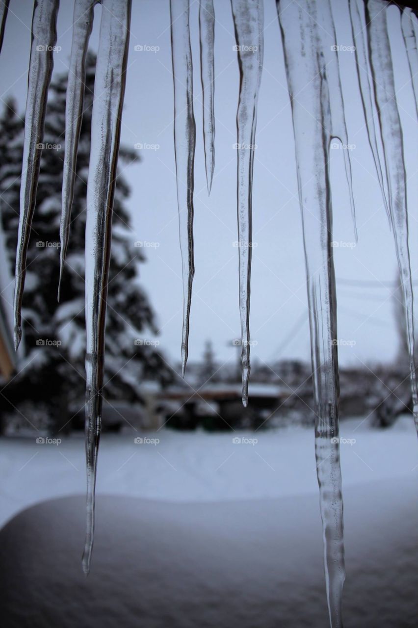 Icicles