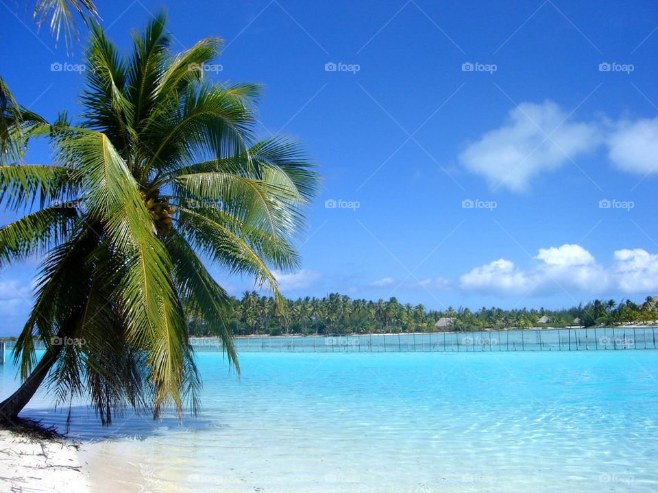 Bora bora peace of paradise