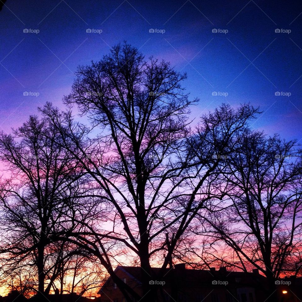 #sky #sunset #tree
