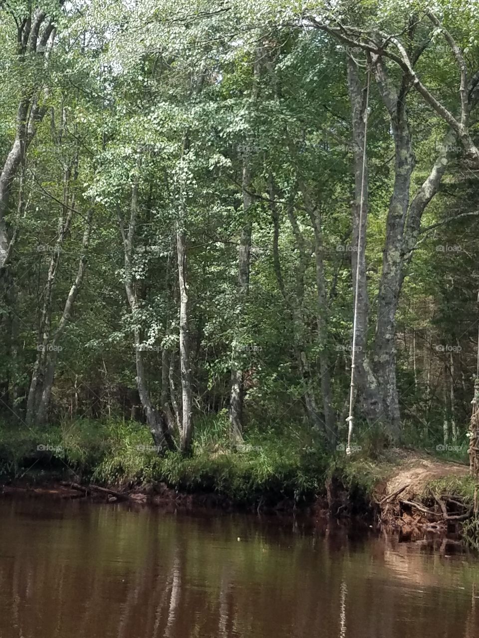 kayaking trip wharton state park nj