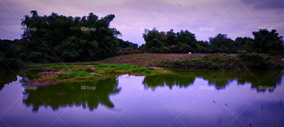 Motionless beauty 😊