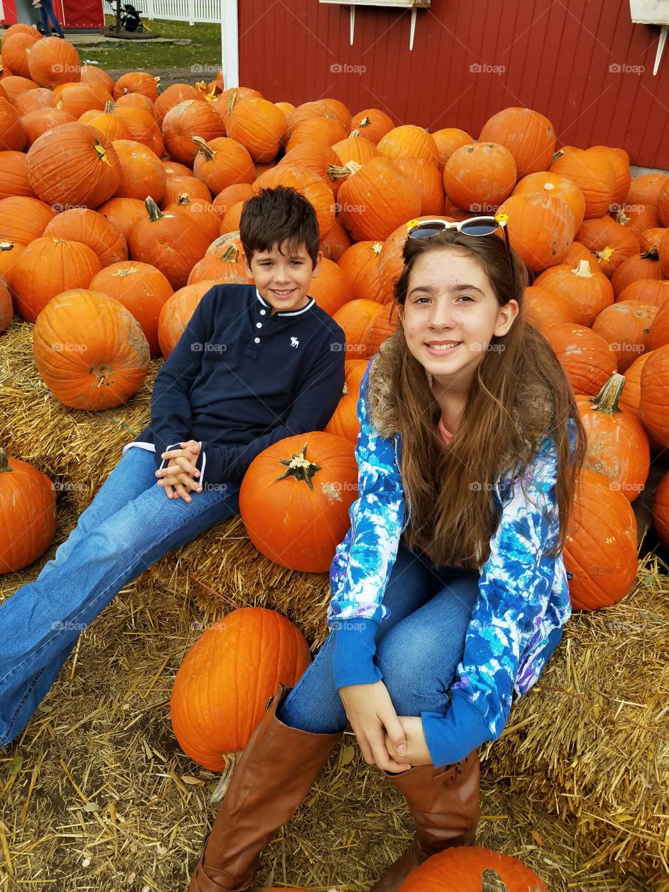 pumpkin patch