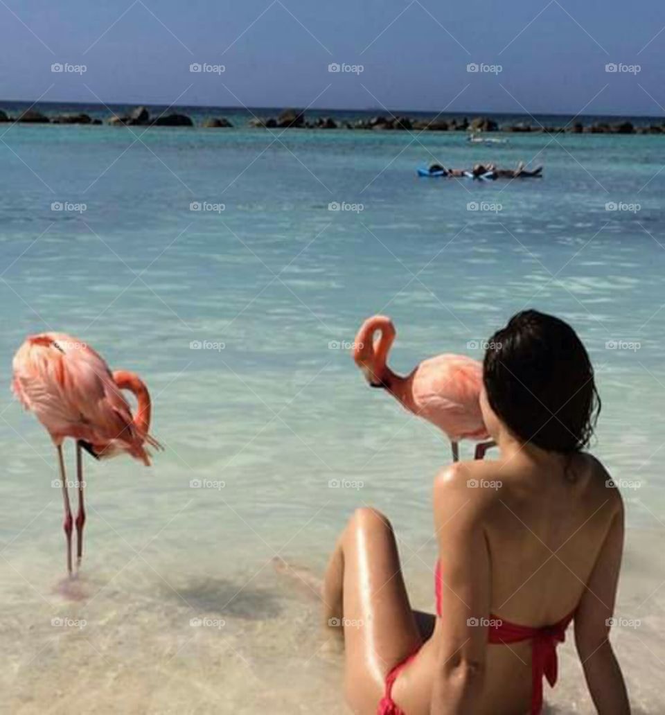 girl on the beach with flamingos