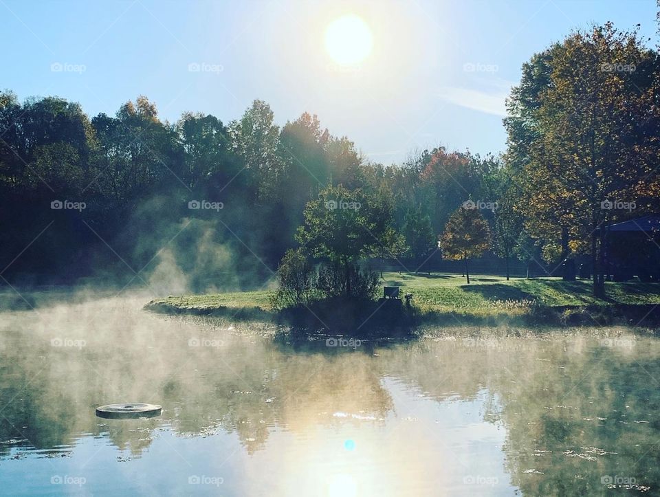 The mist rising from the pond at a local park. Lots of light, some shadows, a touch of green, and the pond looks like it’s on fire. 