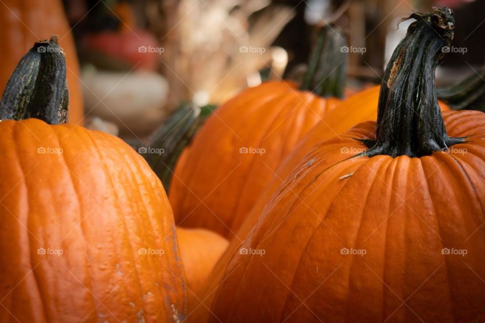 Multiple Pumpkins
