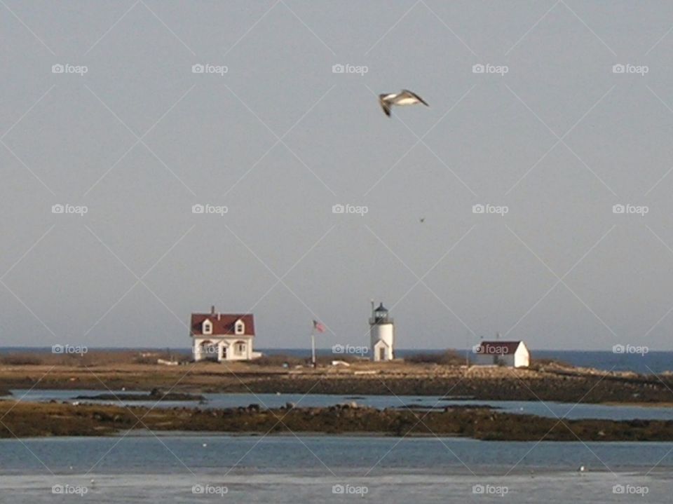 Lighthouse kite