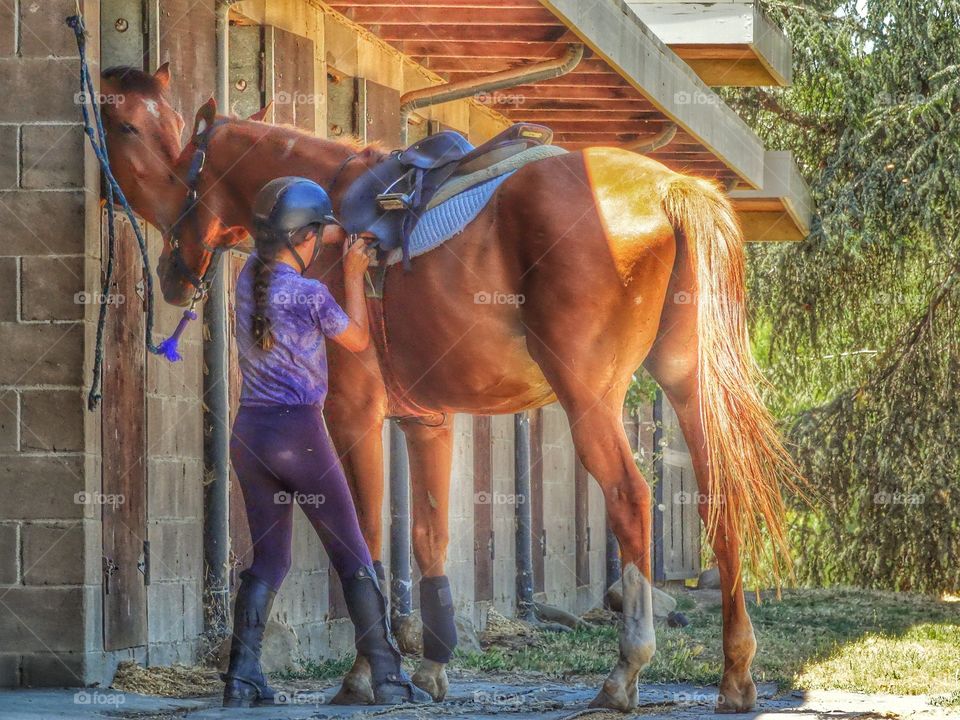 Girl With Horse