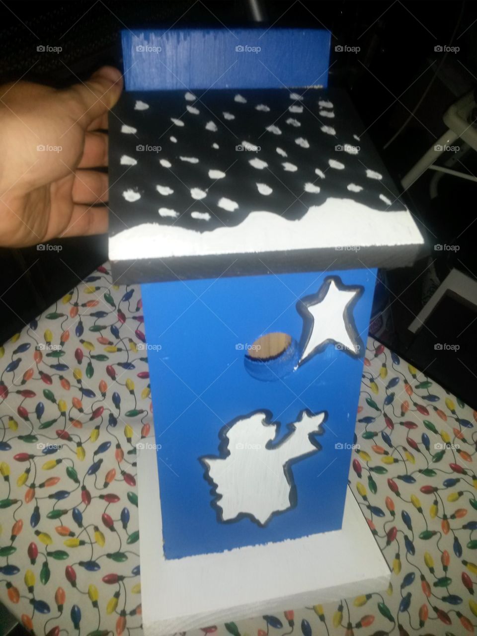 bluebird house made by me