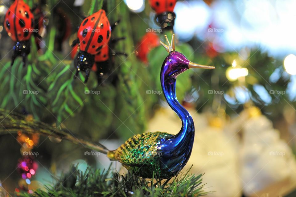 Peacock ornament 
